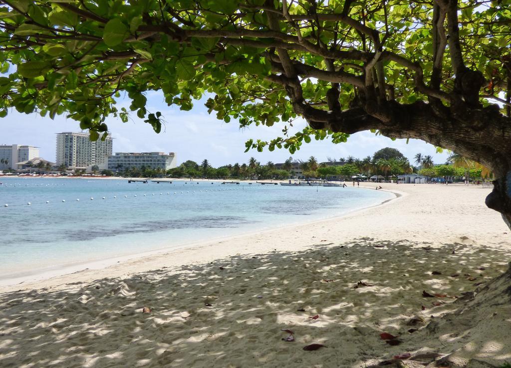 One Bedroom 13 Apartment Ocho Rios